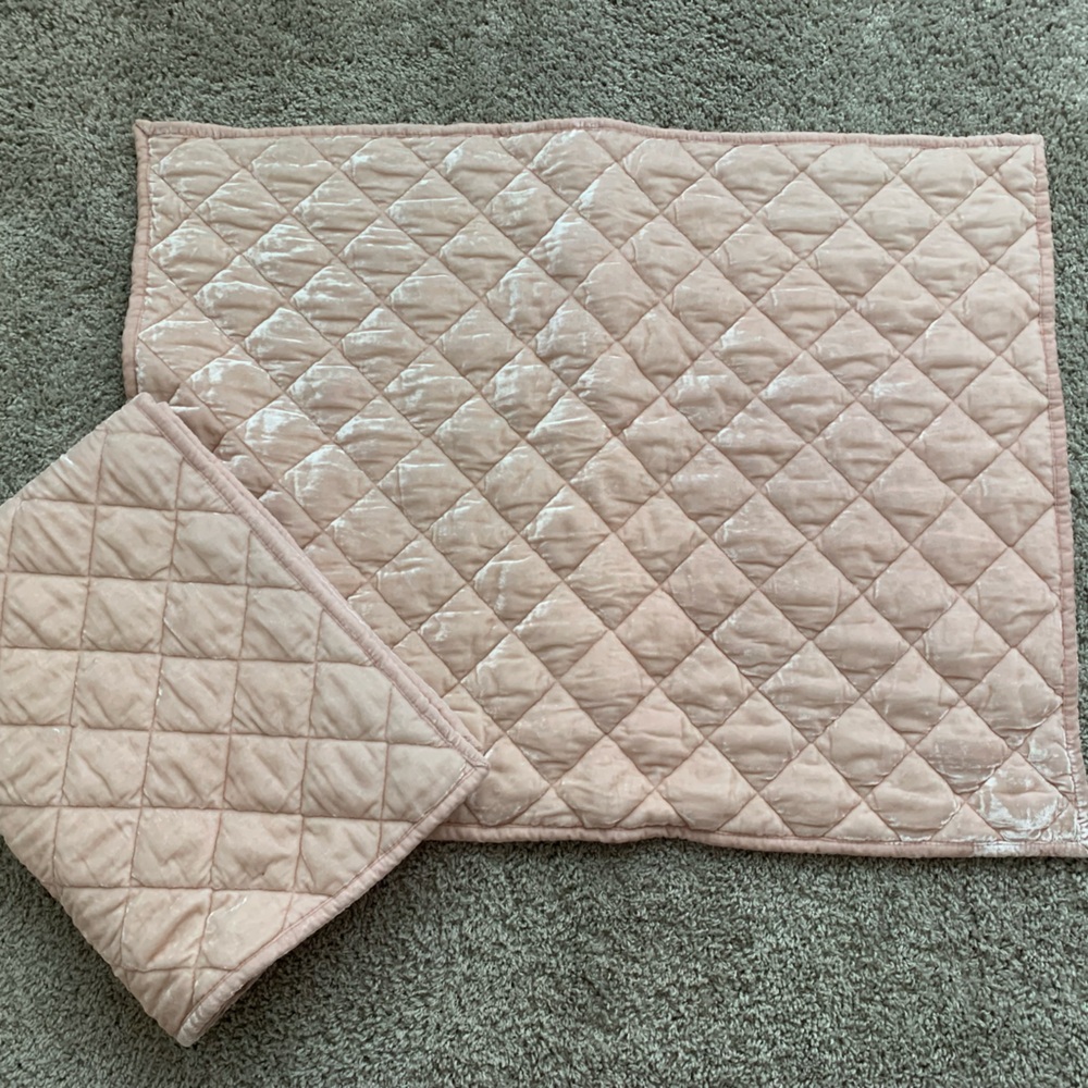 Pottery Barn Elegant Pink Quilted standard Shams